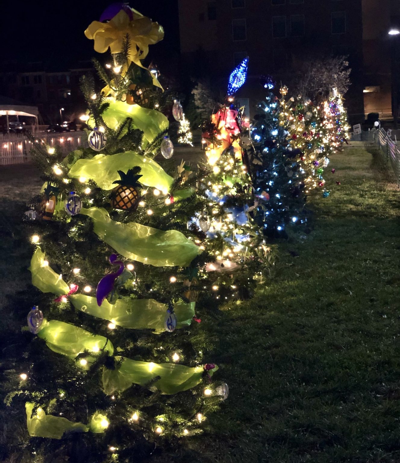 Sponsor a Tree Junior League of Charlottesville